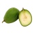 000062_kedondong_1913761502
