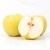 000109_goldenpear_1182070332
