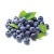 000156_blueberry_986438969