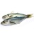 000358_ikan_kembong_2_ekor