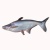 000369_ikan-patin_