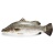 000375_ikan_siakap_500g-_600-_2020942133