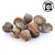 000493_kerang_300g_199177154