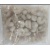 001670_-_iqf_prawn_meat_850599248
