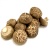 1583052135191-shitake_mushroom_2_edited_1407748371