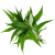 1597315095649-daun-kesumedited_jpeg