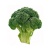 51ykqqikl__ac_ss450__1638918088