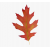 83-838185_maple-clipart-acorn-leaf-red-oak-leaf-clipart