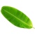 banana-leaf-500x500_2146006095