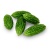 bittergourd_c5b5586a-b23f-448a-8e85-e5f4470f4b40_1200x_1610558588