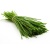 chives_edited_600x_576023772