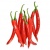 cili-merah-e1594787996933_796069753