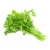 coriander_1055310968-600x600_694806887