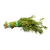 daun_selom_300gm_711410169