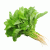 green-spinach_grande_1856630126