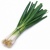 manfaat-daun-bawang-03_12_903060_1069016152