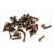 mc_bunga_cengkeh_20g