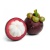 raweliquid-mangosteen-min