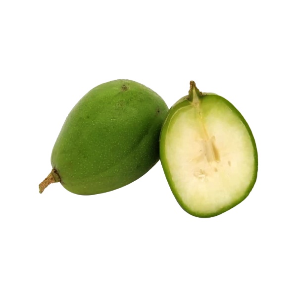 000062_kedondong_1913761502