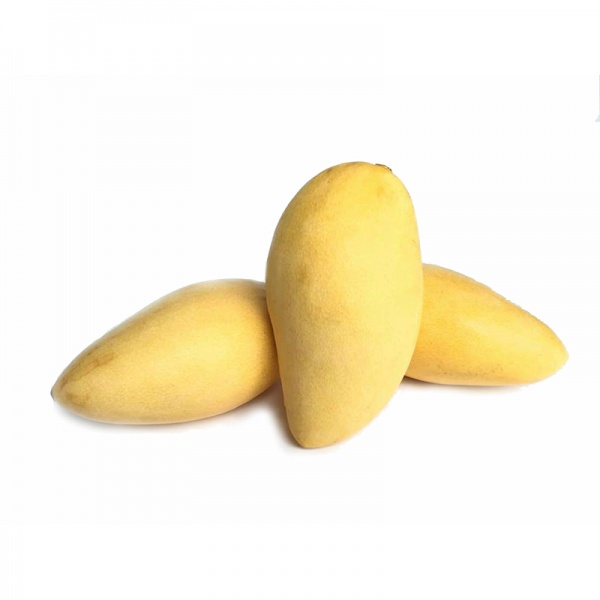 000090_mango-lily_523560458