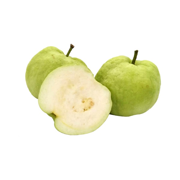 000097_seedless_guava_246626227