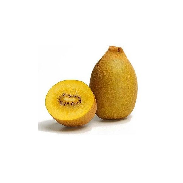 000108_golden_kiwi