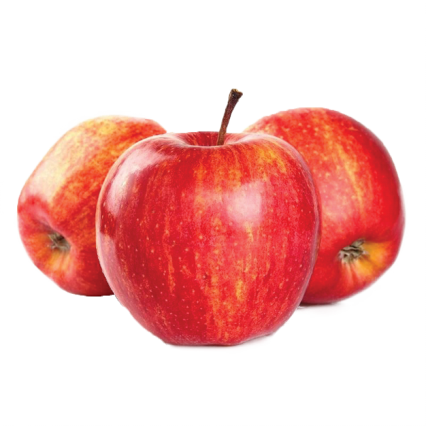 000123_pacific_rose_1489533814