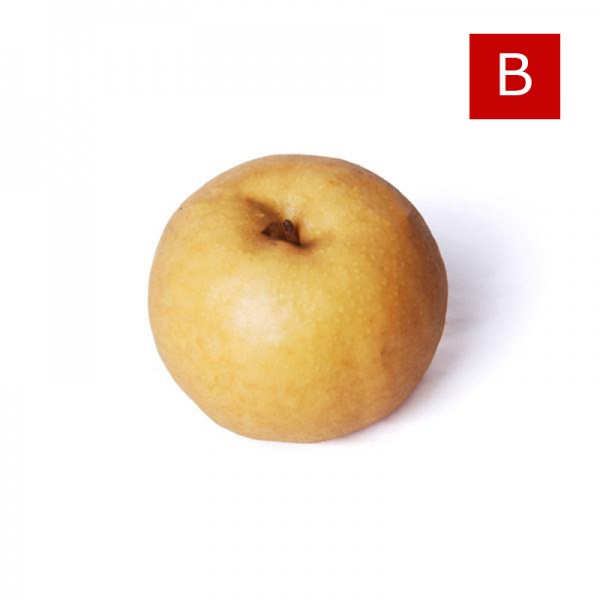 000137_golden_pear_b_391465542