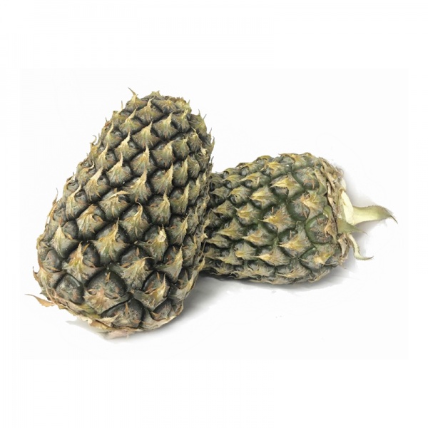 000141_nenas_local_1282800701