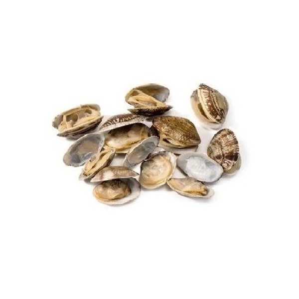 001593_-_asari_clam_500g