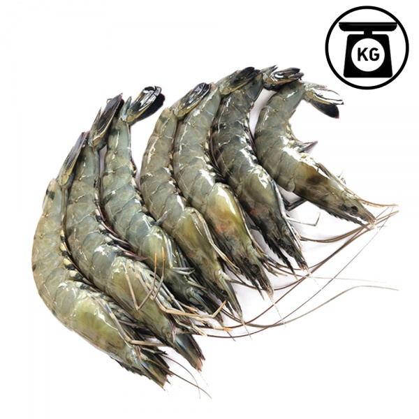 00400_udang_harimau_1954363407