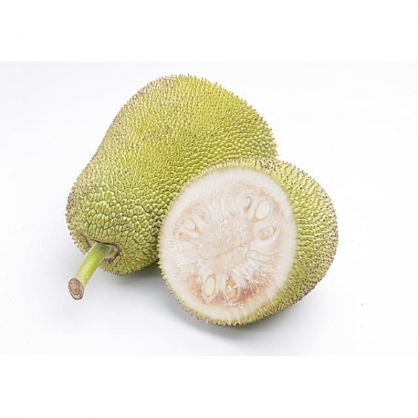 104434858_57b5f6ed-17f2-42a7-b075-ed2839ad854c_640_640