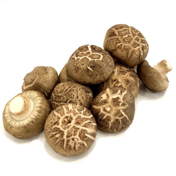 1583052135191-shitake_mushroom_2_edited_1407748371