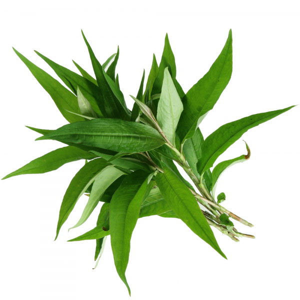 1597315095649-daun-kesumedited_jpeg