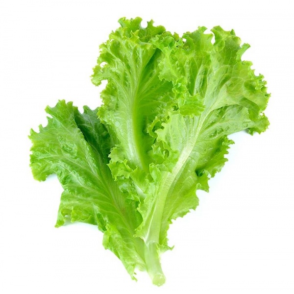 16-best-benefits-of-lettuce-for-skin-hair-and-health