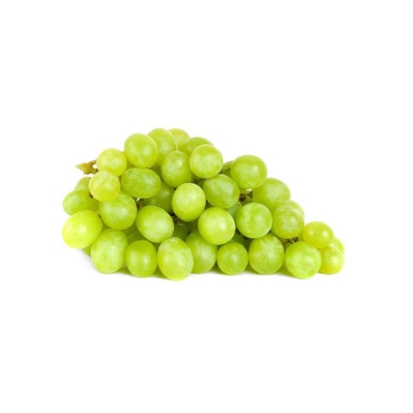 20e3386b6a983b01a2039e970b52dfec_1227145398