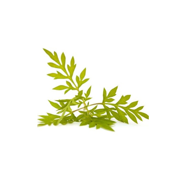 360_f_245346497_eoyncb1itzqiuy8y6xr0saxycevbdu5i