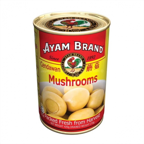 457ac729ffd1f80406230d97f4a8b166_411176541