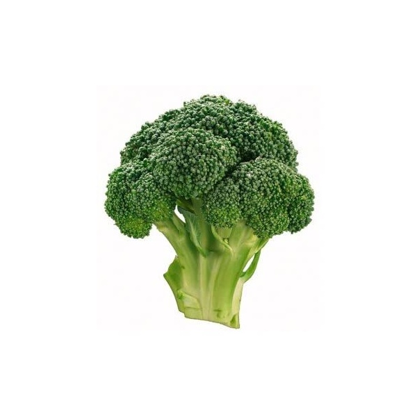 51ykqqikl__ac_ss450__334604941