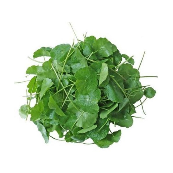 5486140_orig_2057973995