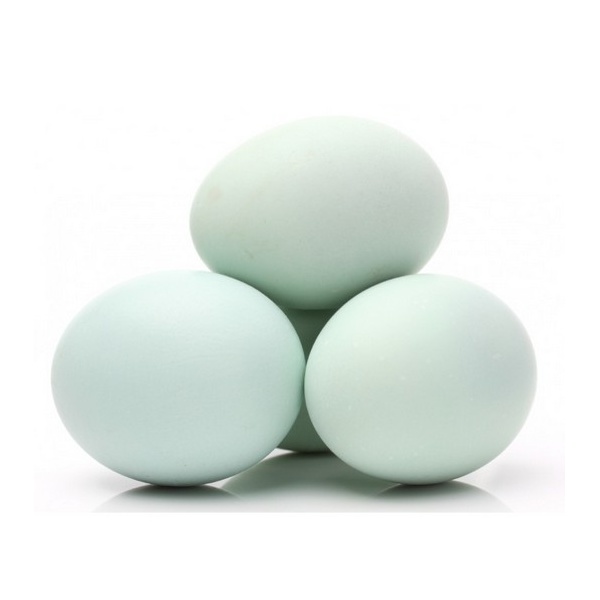 6a803e294ea72efc9c9afc118a845c85_368630794