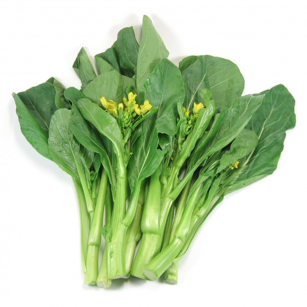 727197a2-0b98-41e4-807e-565e5cf68a75_1208506156