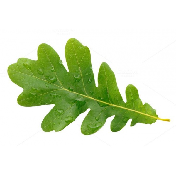 78289296d37d8e08505340f9046526a9