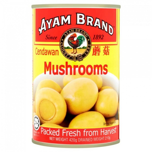 ayam_brand_mushroom_420g