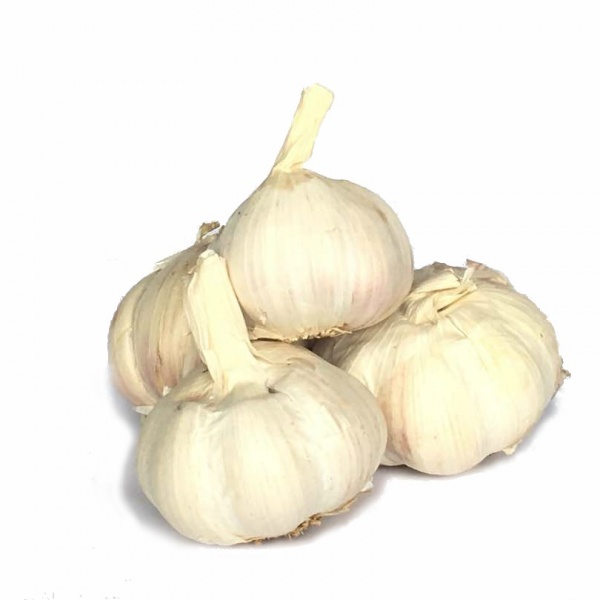 bawang_putih_kg_1072645290