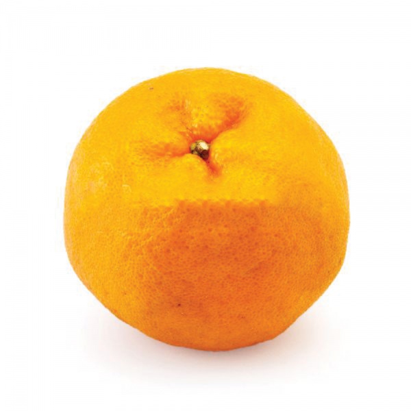 c96e0dfb8373889560f5bc60742f41d6fe7332be-original