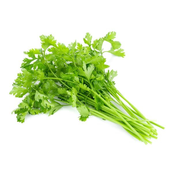 coriander_1055310968-600x600_922299551