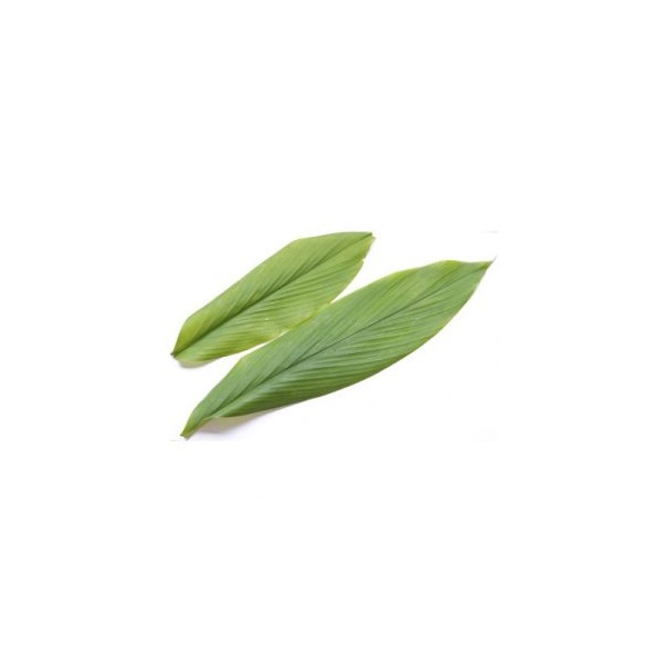 daun-kunyit-1_1799914683