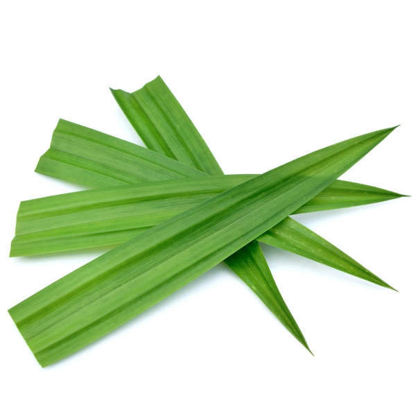 e50bc7c90ee2d9c30e28ab2fd7fcc5d5_980425876