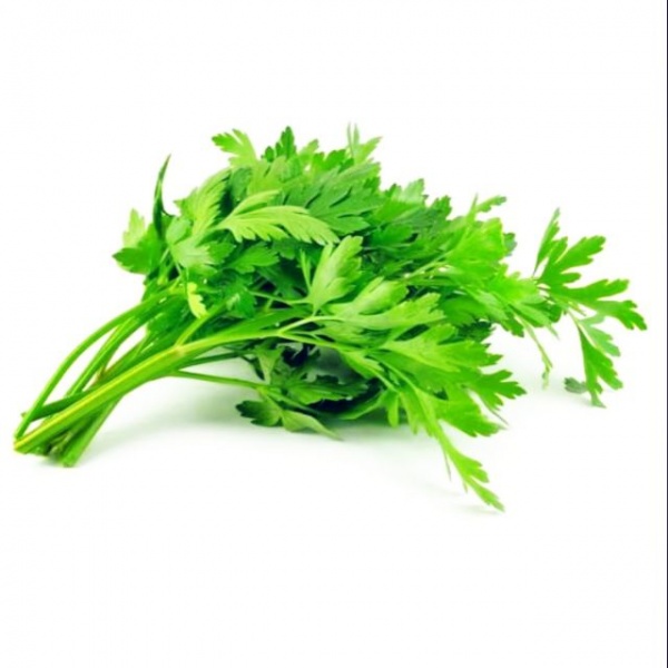 ee319975afc3e021442f3228b46dd816